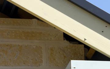 soffit repair Great Ellingham